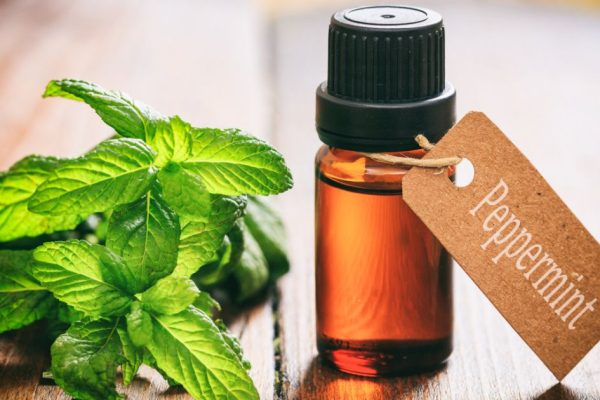 Global Peppermint Oil Market