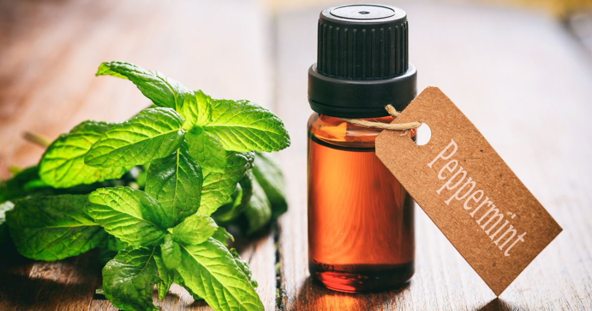 Global Peppermint Oil Market