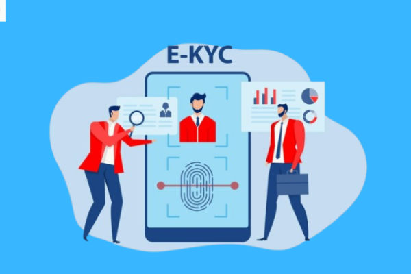 eKYC Services